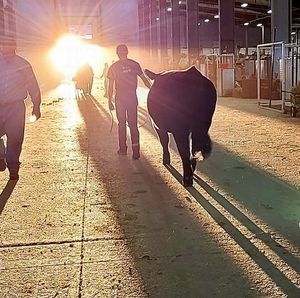 Meet your Posher, Nicki